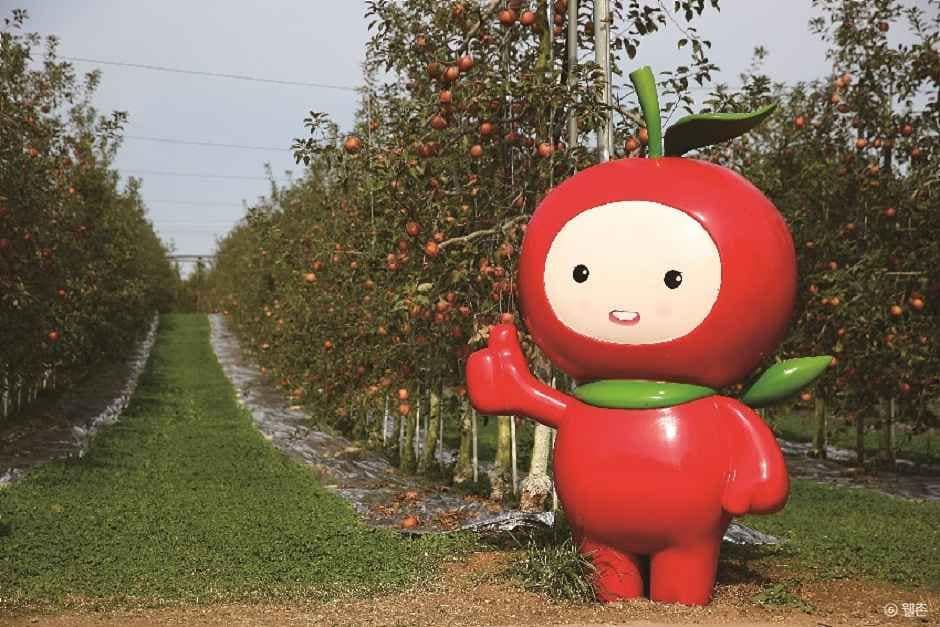 예산_예산 알토란사과마을 (6).jpg