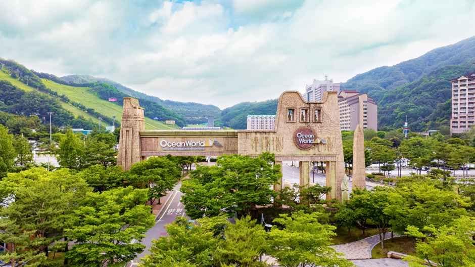 홍천_오션월드 (5).jpg