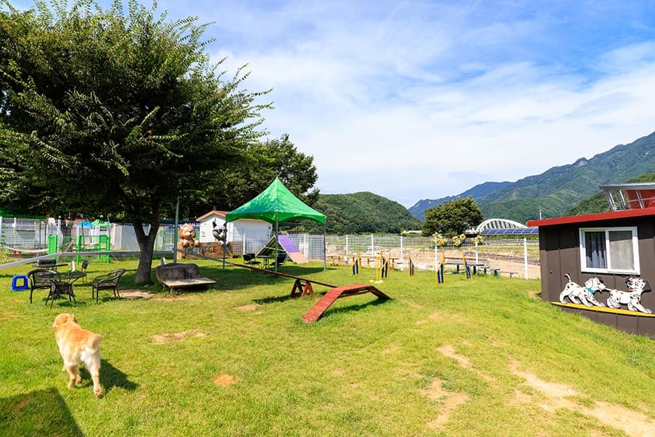 경북_문경시_반려동물힐링센터 글램핑_시설_반려견놀이터_2
