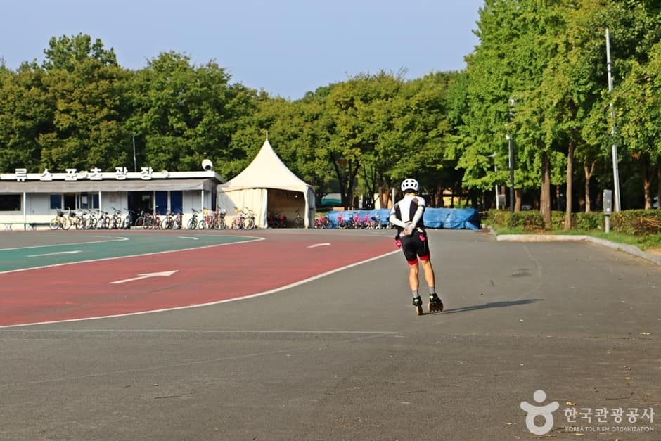 두류공원인라인스케이트장 (11)