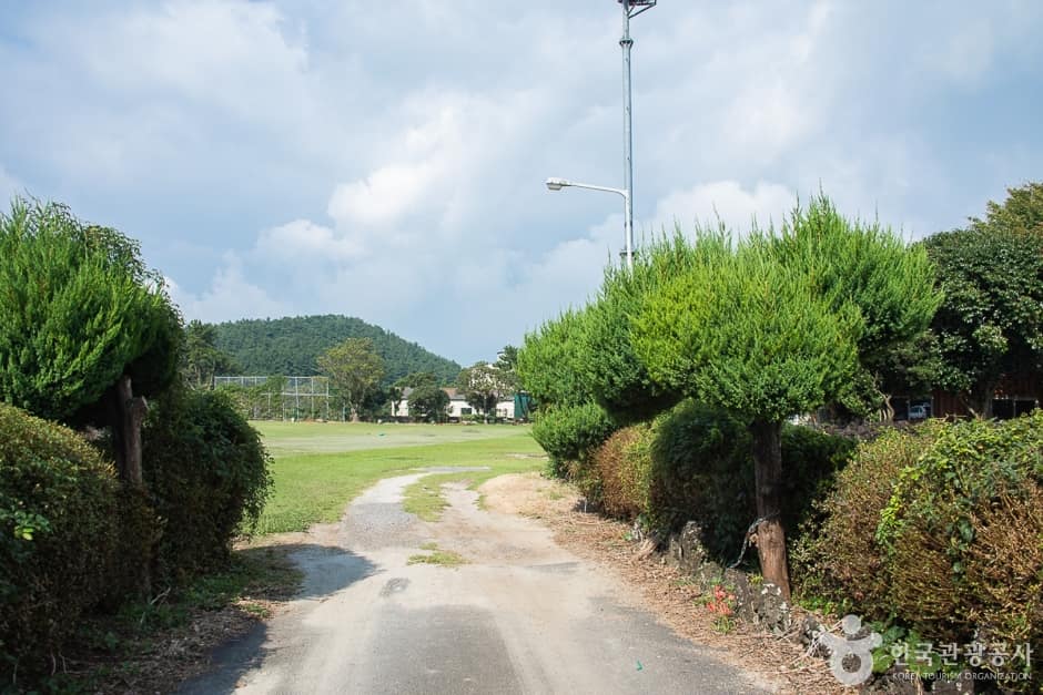 제주_서귀포_동광리농촌체험마을(8)