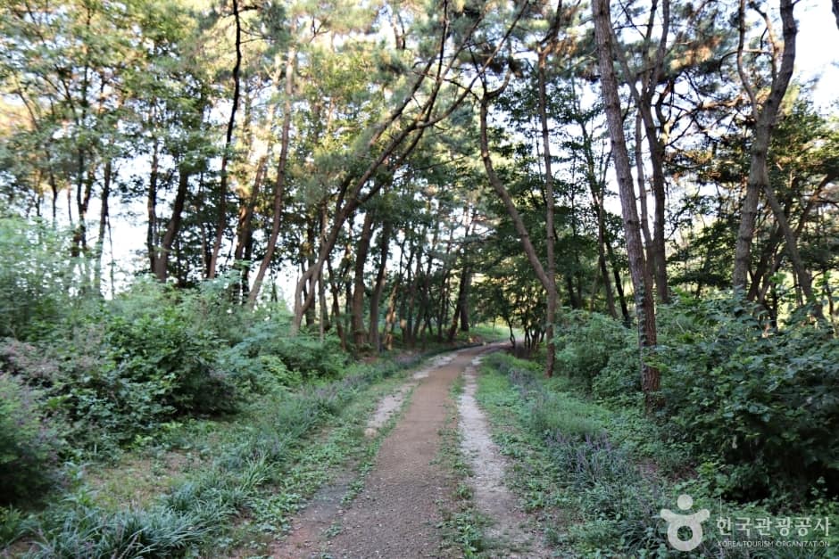N02409_전북_익산_신흥근린공원12