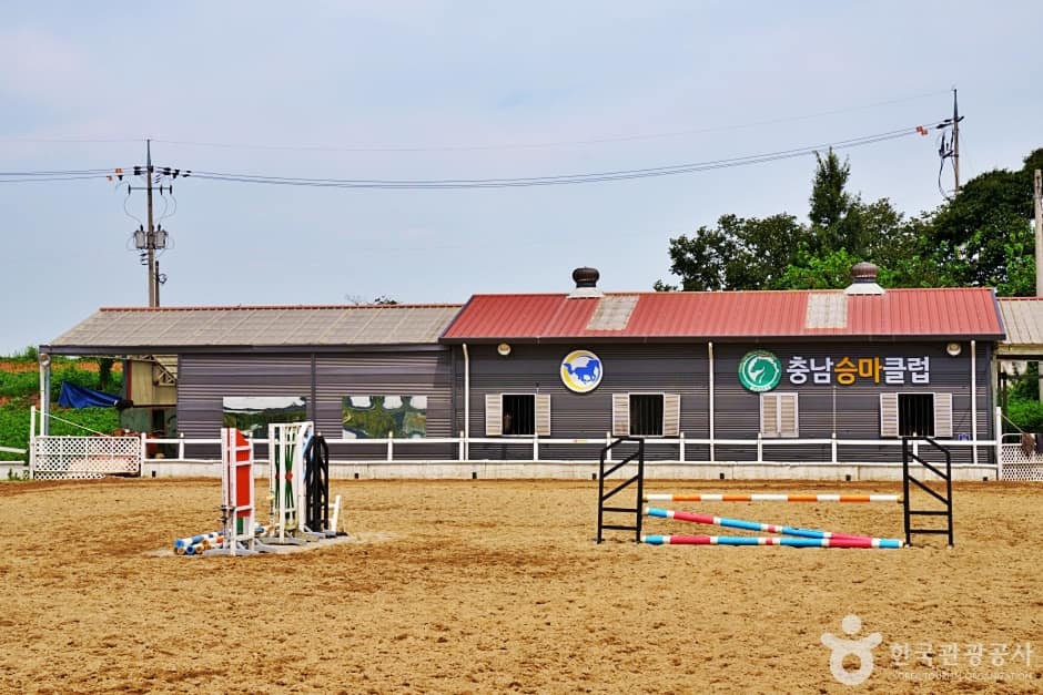 충남승마클럽 (15)