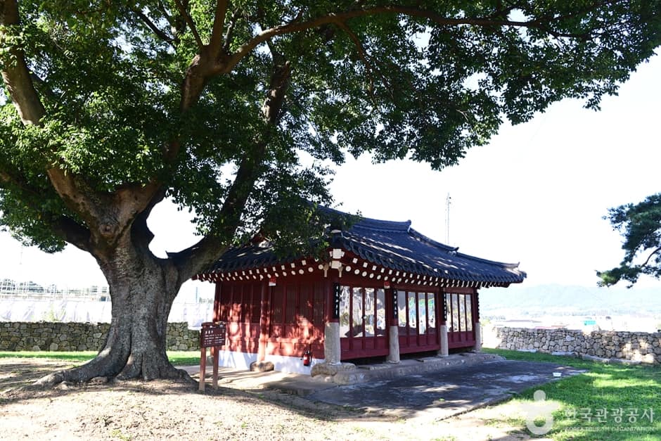 전남_영암_영암읍성 (13)