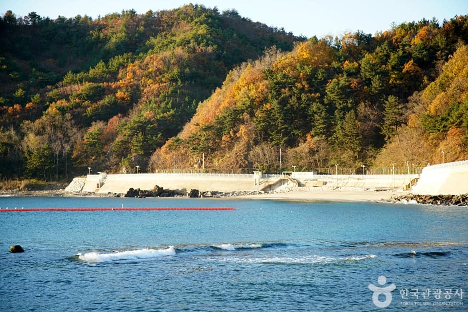 임원해변 (9)