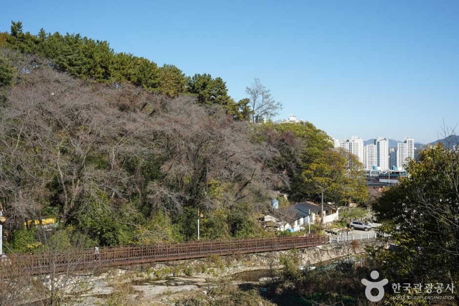 서원곡유원지 (3)