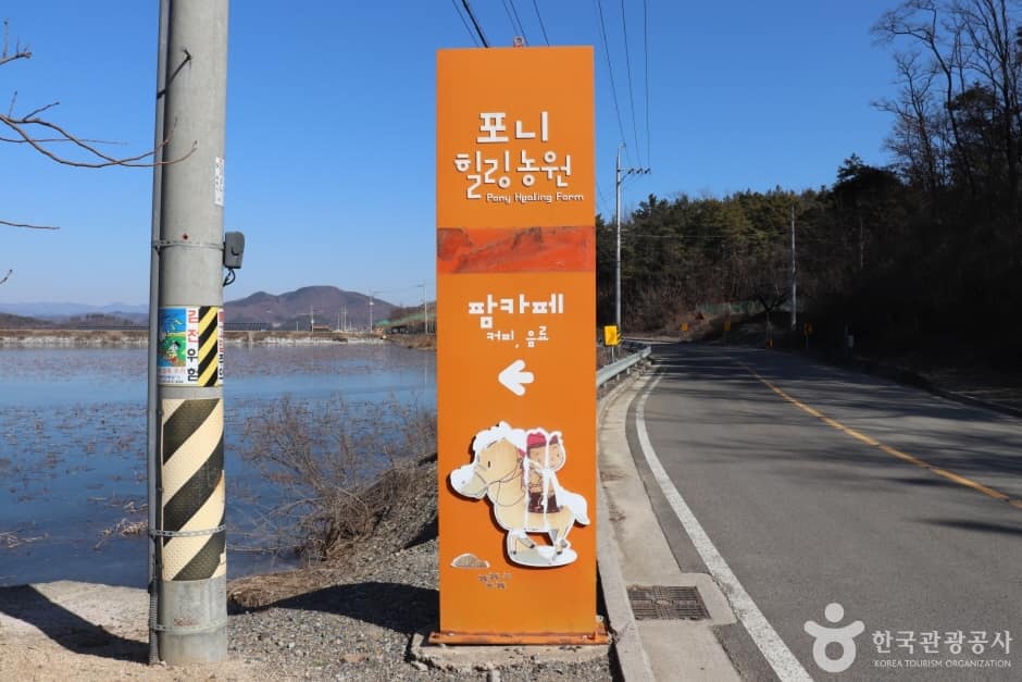 포니힐링관광농원 (2)