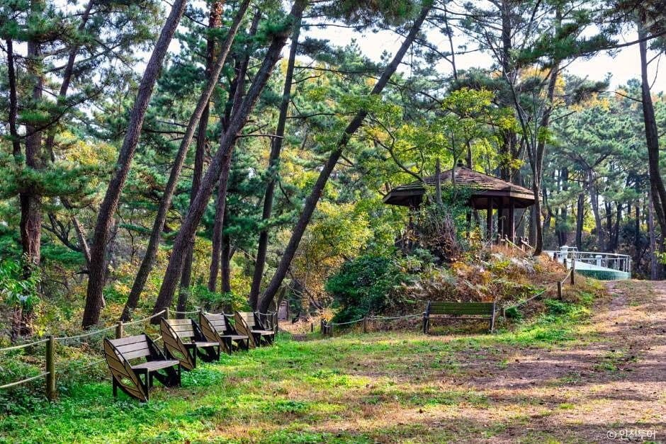 인천_승봉산림욕장 (3)