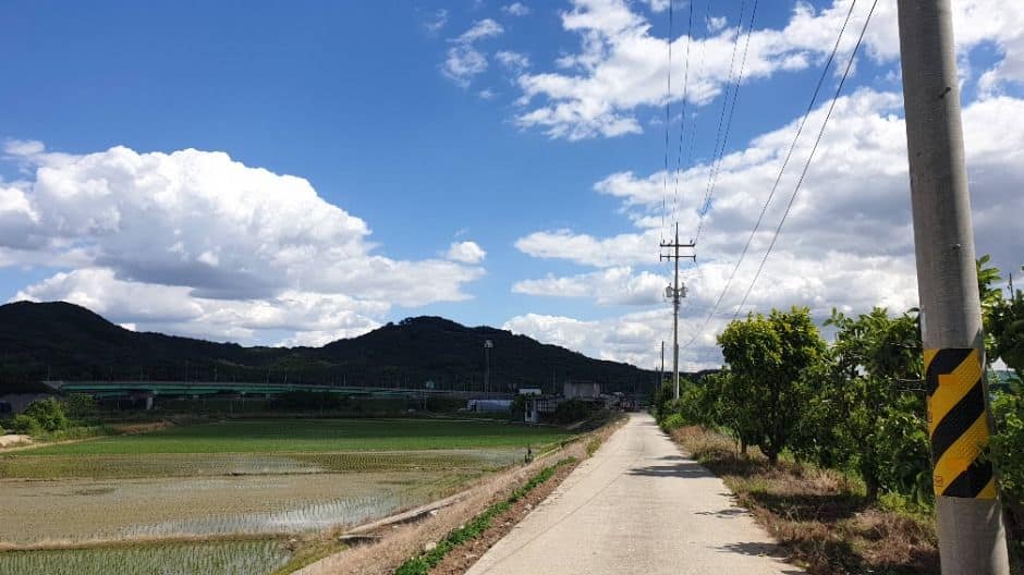[경기옛길 삼남길 제6길] 화성효행길 (9)