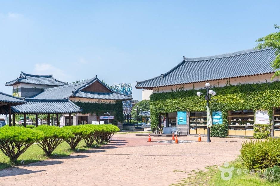 여주_여주도자세상 (3)