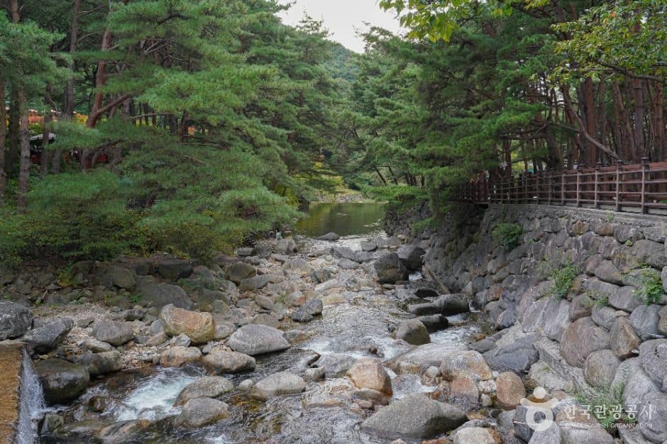 무주_칠연계곡 (6)