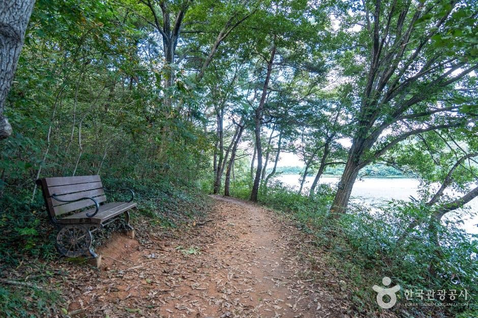 군산_군산호수 둘레길 (4)