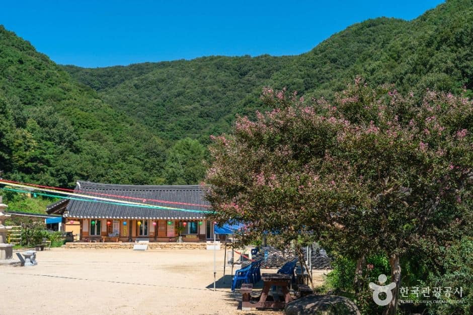 영천_거조사 (7)
