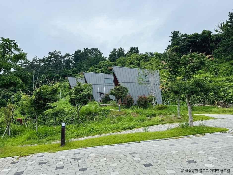 통영_한려해상생태탐방원 (4).jpg