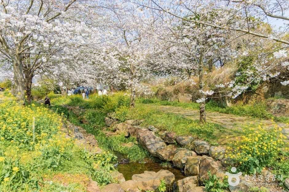 서귀포_대왕수천예래생태공원 (6).jpg