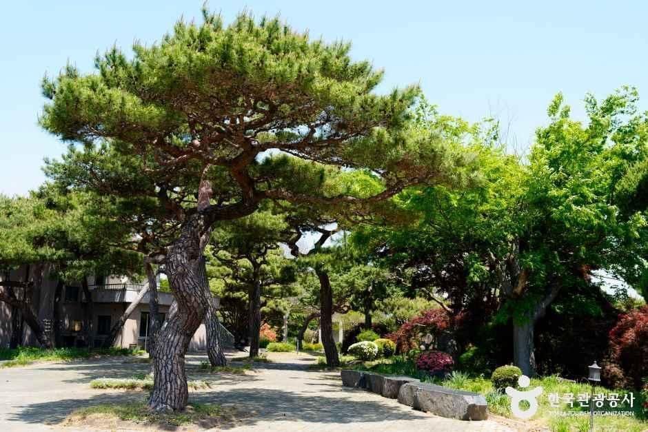 충남_홍성_그림같은 수목원(그림이 있는 정원)_외부_2.jpg