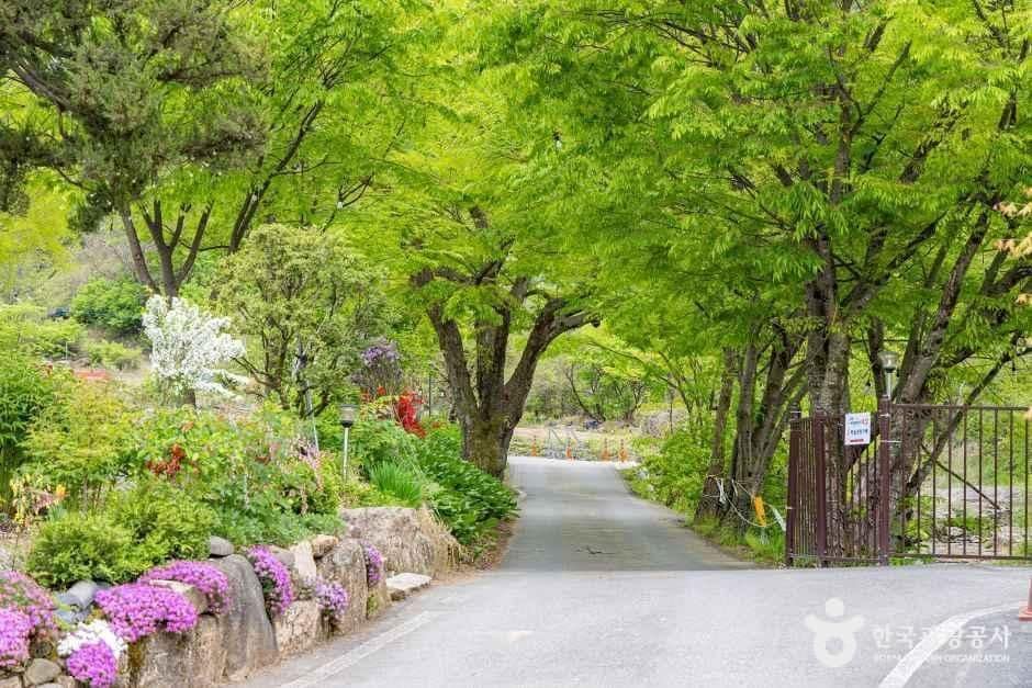 괴산_괴산 도명산 오토캠핑장 (6).jpg