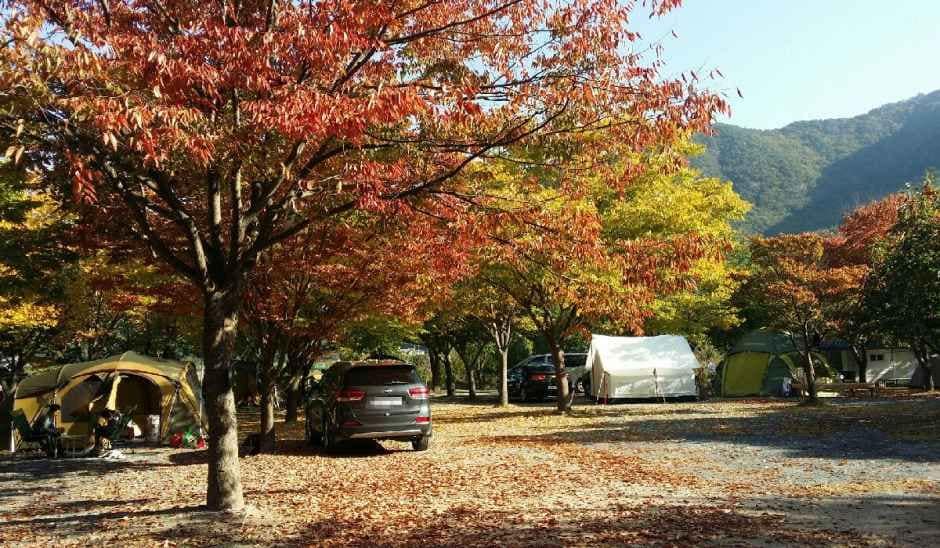 청도_운문사계절 캠핑장 (1).jpg