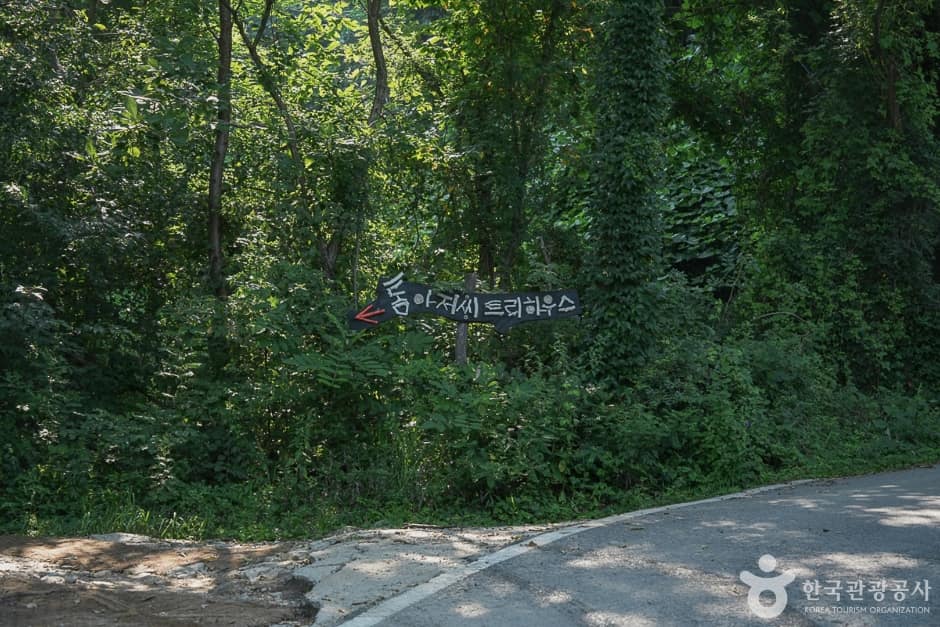 톰아저씨 트리하우스(2)