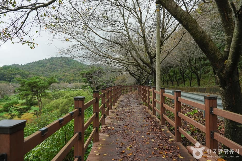고남 저수지 (2)