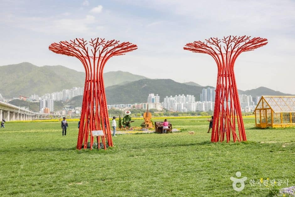 부산_대저생태공원 (2)