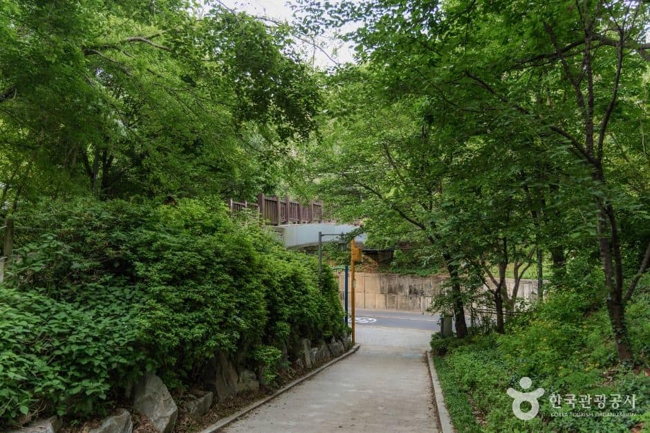 서울_서리풀공원 (1)