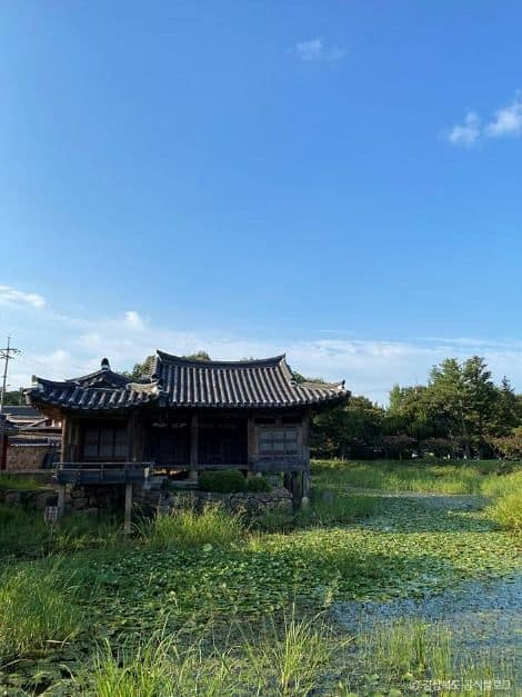 경주_경주 서출지 (2)