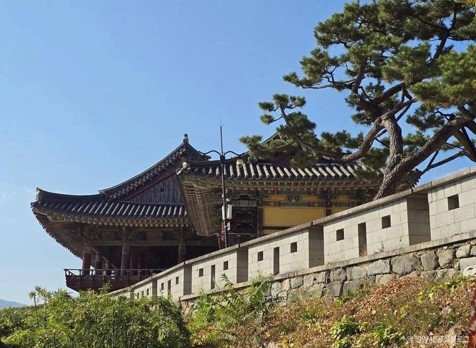 밀양_천진궁 (1)