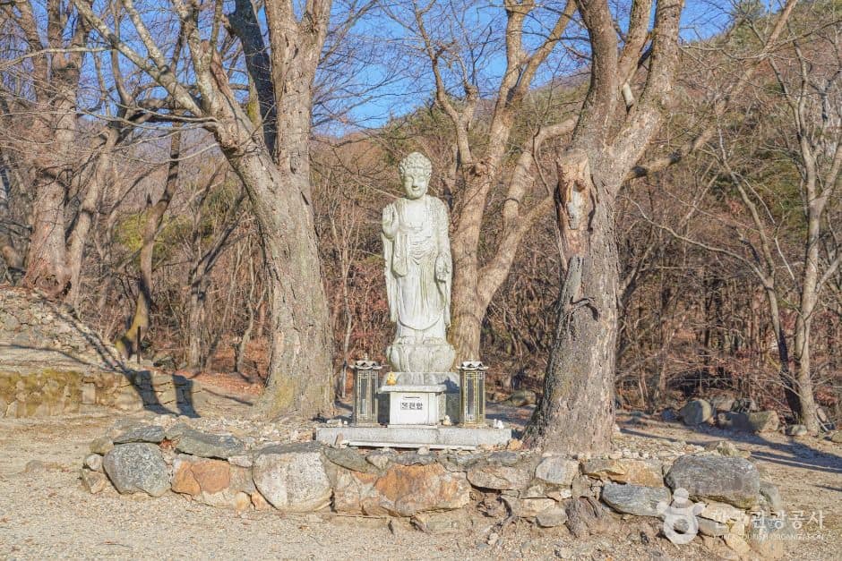양평_사나사(양평) (1)