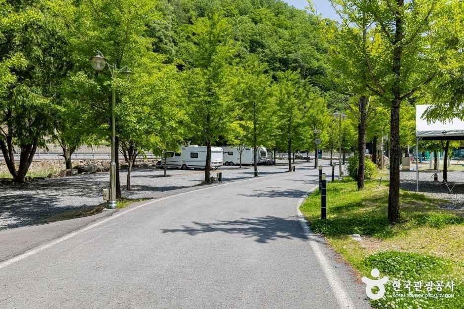 제천_옥전캠핑장 (6).jpg