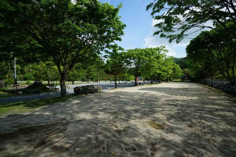 영월_예그리나숲 (4).jpg
