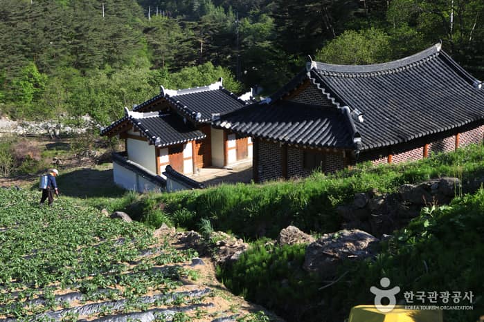 전북_남원_지리산둘레길_인월~금계20
