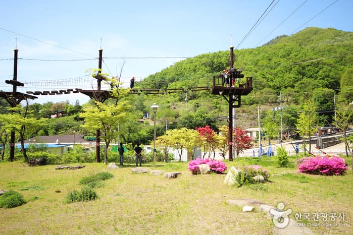강원_인제_내린천 공중을 가르는 익스트림 스포츠, 짚트랙03