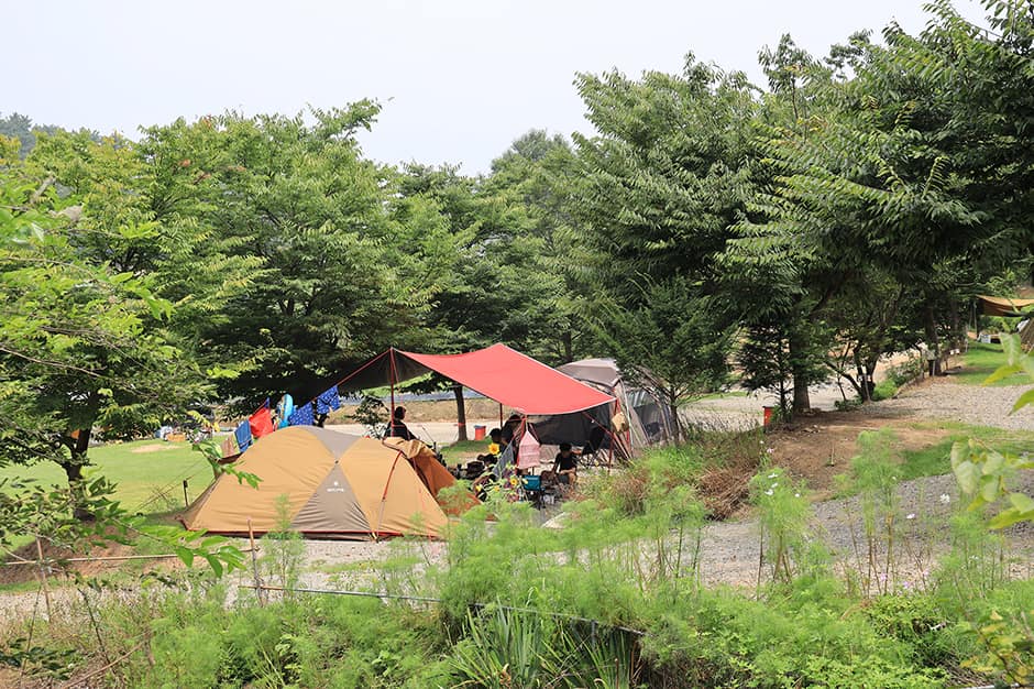 고래숲캠핑장_전경1