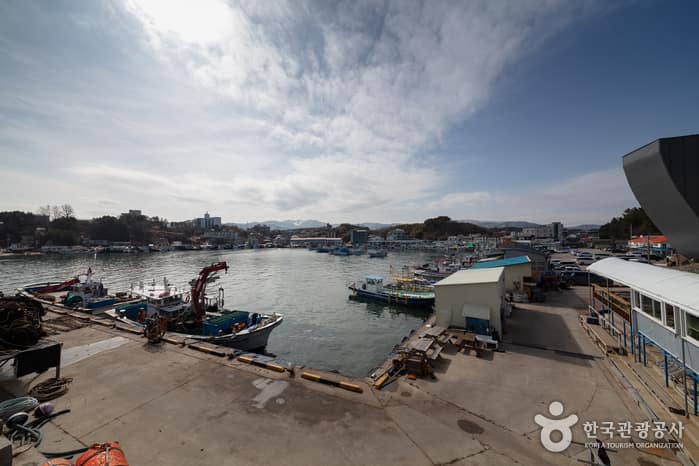 남애항 2