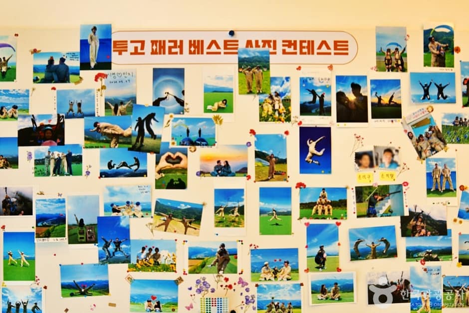 충북_단양_투고패러글라이딩(3)