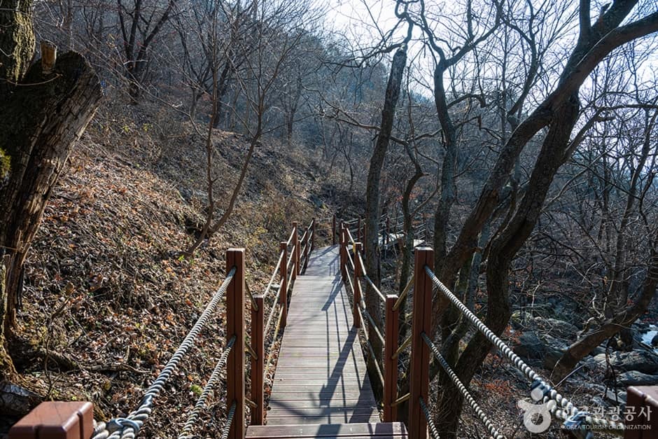 축령산 (2)