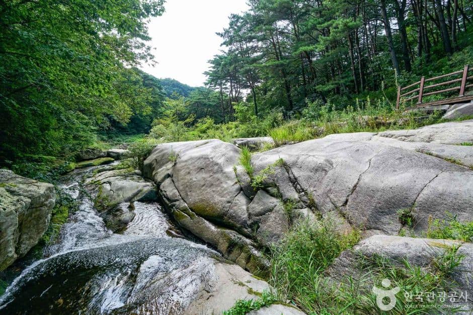 수포대 (2)