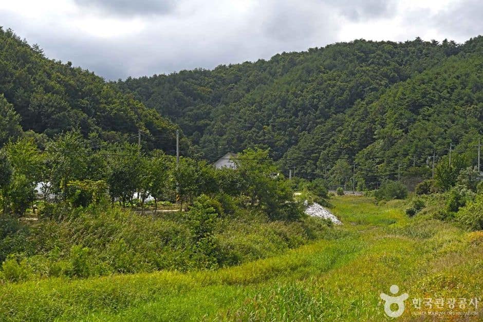 양양_샘재골송이마을 (4)