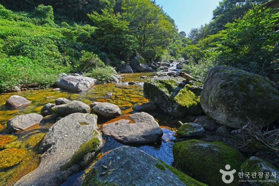 단양_새밭계곡 (4)