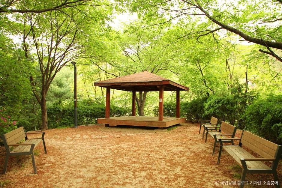 서울_[북한산 둘레길 7구간] 옛성길 (6)