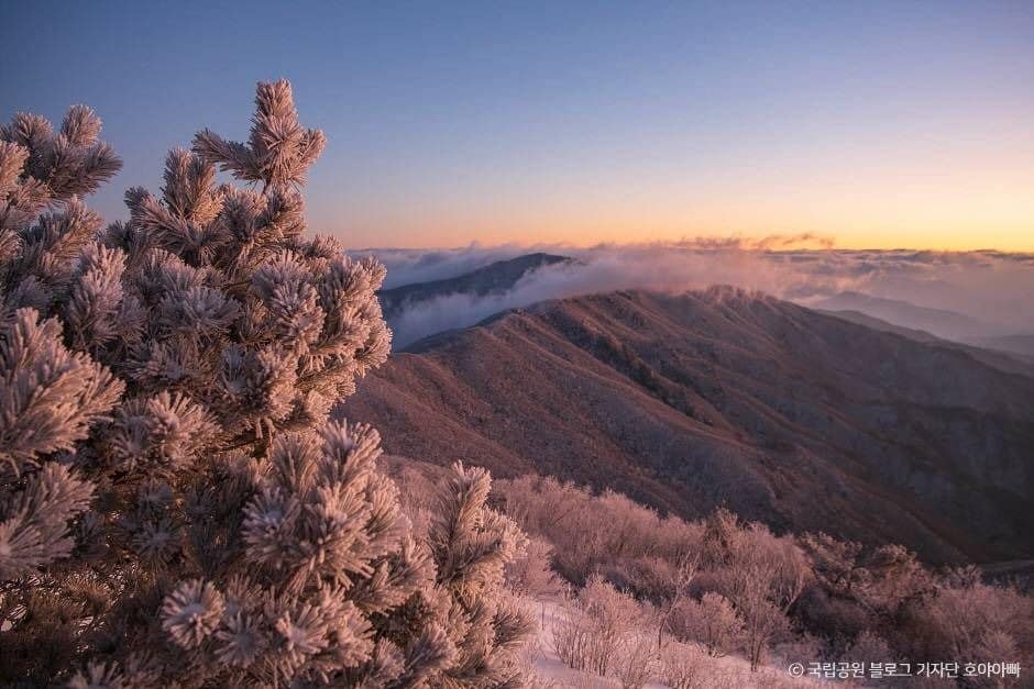 영주_소백산국립공원(경북) (1)