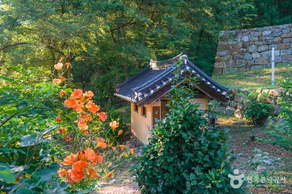 칠곡_금곡사(칠곡) (6)