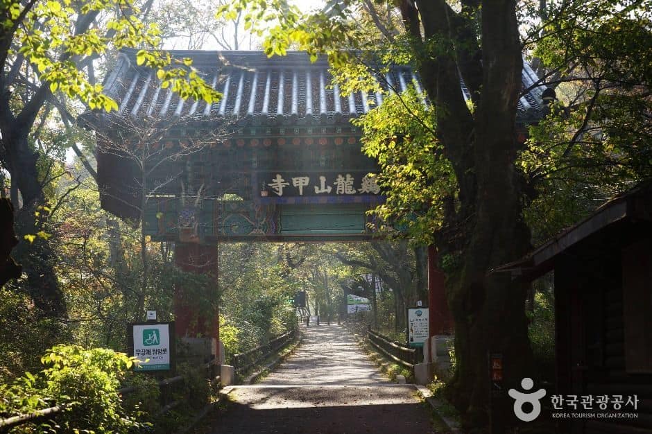 공주 갑사