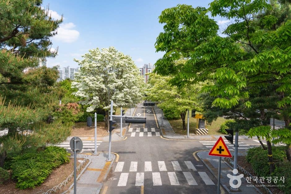 수원_영통어린이교통공원 (1)