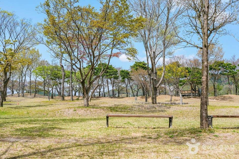 경주_신라왕경숲 (5)
