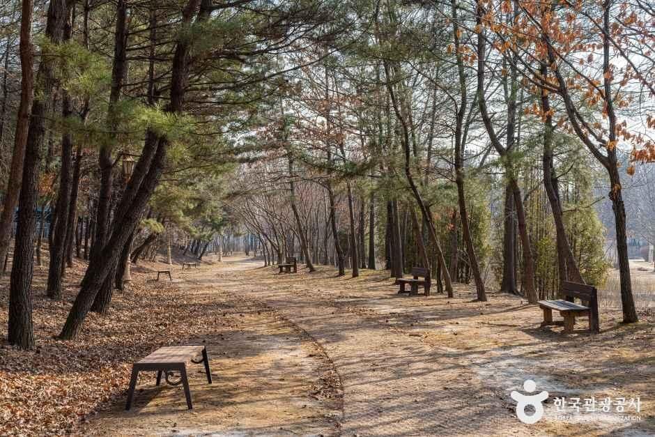 인천_인천환경공단 청라생태공원 (9).jpg