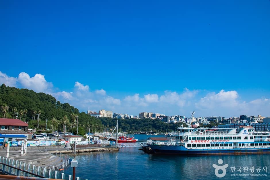제주_서귀포_서귀포잠수함(9)