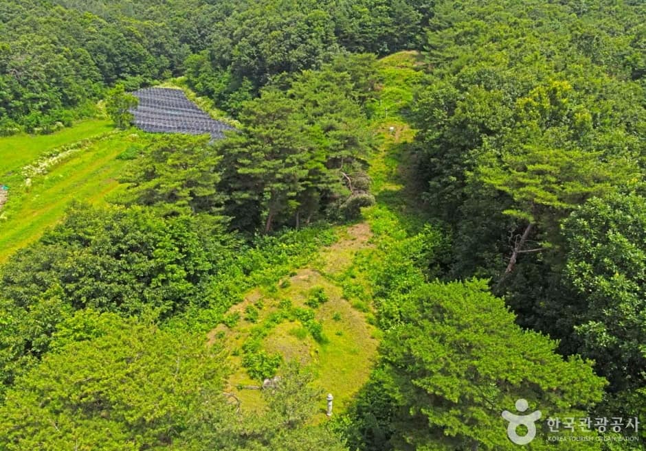 장암 정호 묘소 (7)