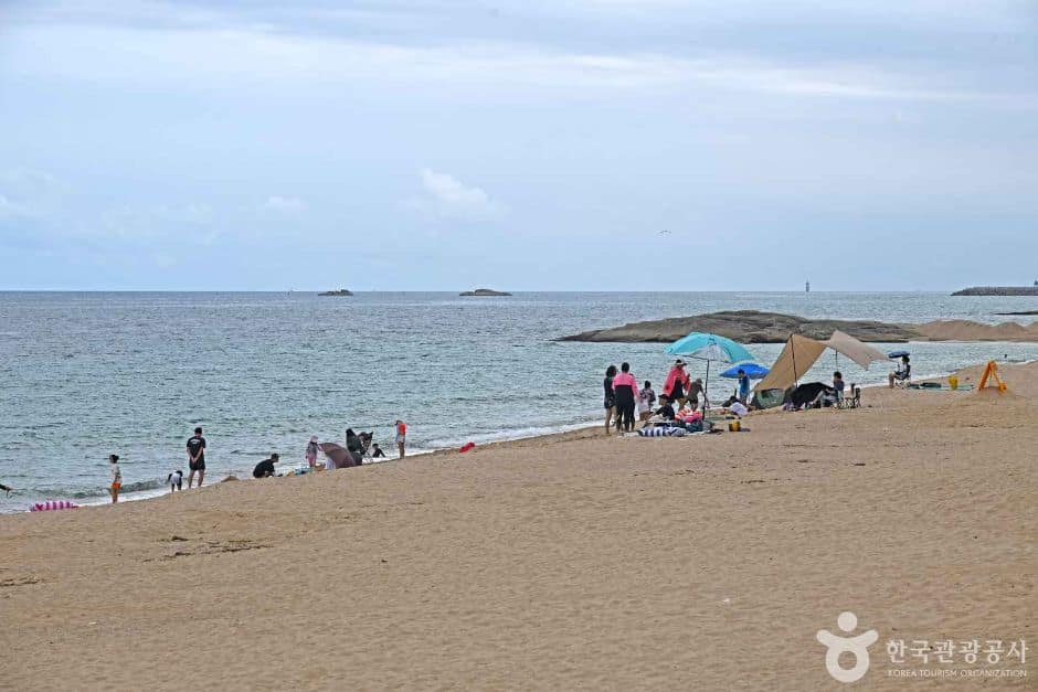 켄싱턴해변 (2)
